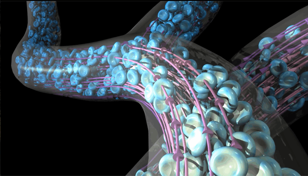 Branching trunks with pale blue disks inside linked by lavender arrows